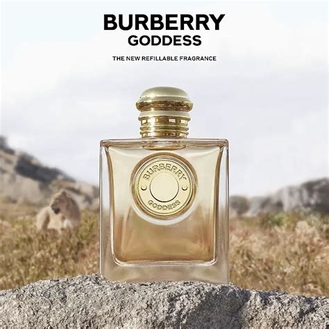 burberry gold fragrance|burberry goddess perfume samples.